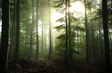 医疗机构禁向孕产妇推荐母乳代用品