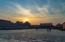 不该让孩子玩“宠物盲盒”