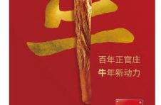 正官庄：不怕就地过年，健康年货让爱回家