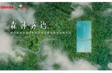 发布会还能这么搞?东芝冰箱雾语系列新品发布，一秒穿越到森林！