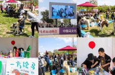 “八方汇聚·沧州一方” 首届“沧州杯”大运河马术公开赛圆满完赛
