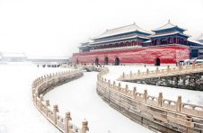 居家办公,会成为新趋势吗? 居家办公,会成为新趋势吗?