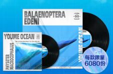 迅雷数字藏品平台非同数艺首次推出黑胶唱片的音频数字藏品 邀你收听海洋的声音
