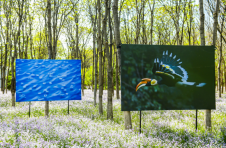 2023年北京森林城市艺术节正式启动，打造“公园文化生态”IP，让城市与自然融合共生，影像艺术季留驻自然之美